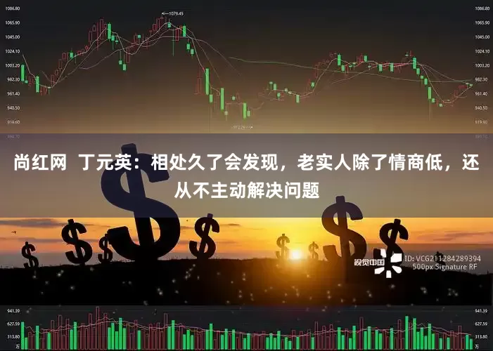尚红网  丁元英：相处久了会发现，老实人除了情商低，还从不主动解决问题