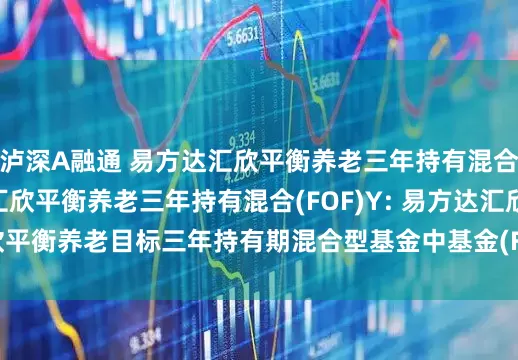 泸深A融通 易方达汇欣平衡养老三年持有混合(FOF)A,易方达汇欣平衡养老三年持有混合(FOF)Y: 易方达汇欣平衡养老目标三年持有期混合型基金中基金(FOF)基金经理变更公告