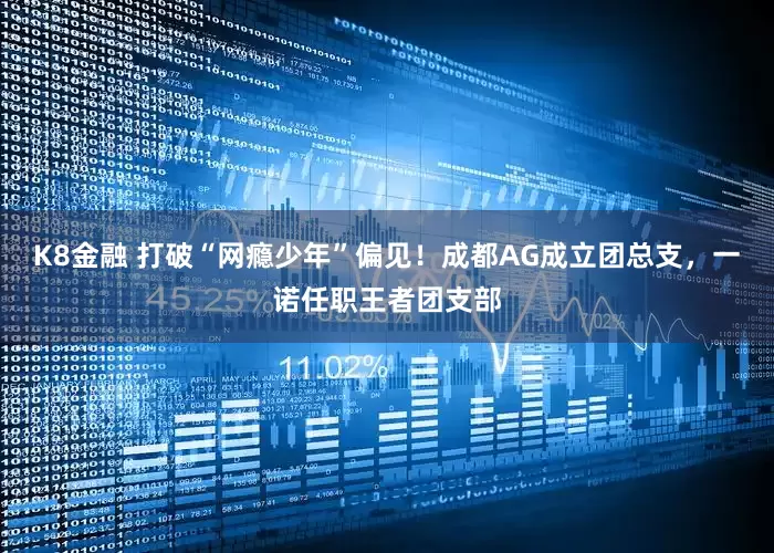K8金融 打破“网瘾少年”偏见！成都AG成立团总支，一诺任职王者团支部