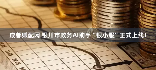 成都赚配网 银川市政务AI助手“银小服”正式上线！