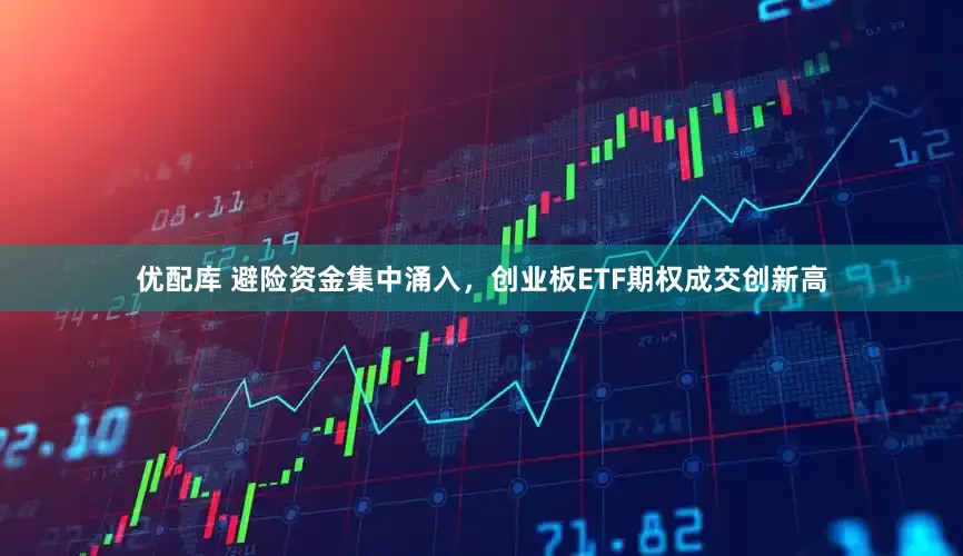 优配库 避险资金集中涌入，创业板ETF期权成交创新高